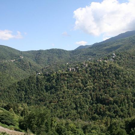 Le Refuge Orezza Piedicroce  Cameră foto