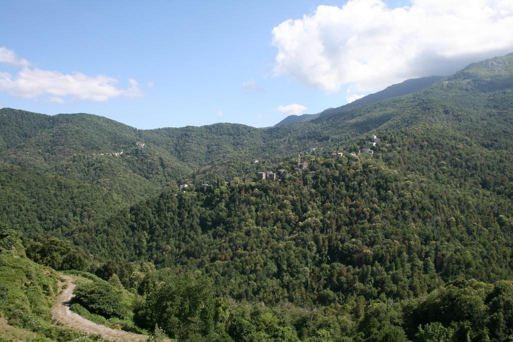 Le Refuge Orezza Piedicroce  Cameră foto